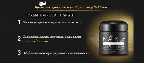 BLACK SNAIL ALL IN ONE CREAM