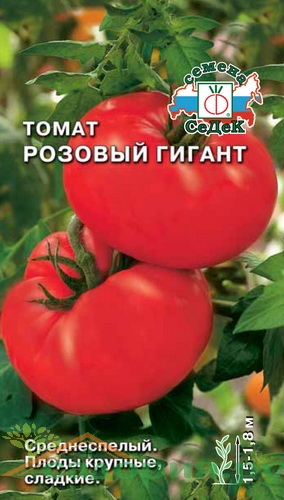 Фото Томата Розовый Гигант