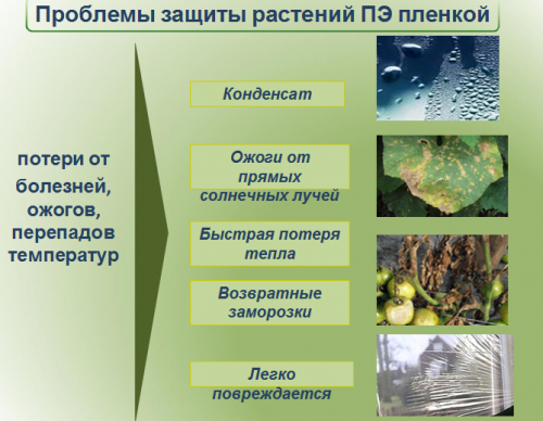 сравнение. характеристики. использование